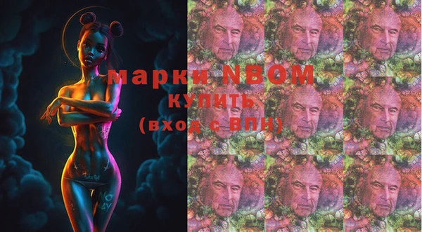 ешки Аркадак