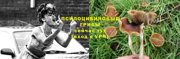 синтетический гашиш Арсеньев