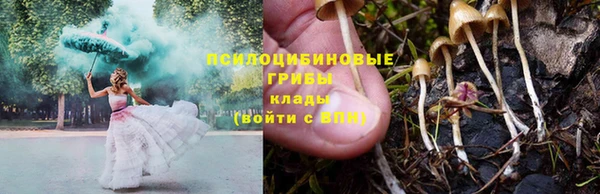 синтетический гашиш Арсеньев