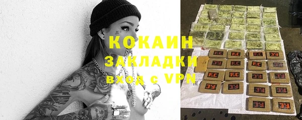 ешки Аркадак