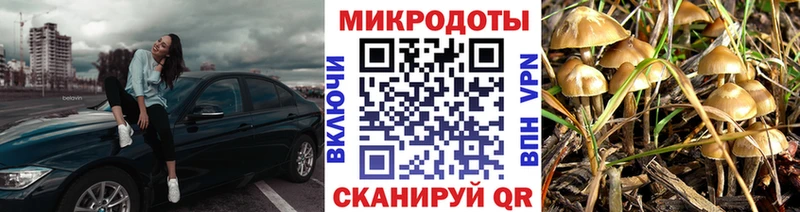 Галлюциногенные грибы Psilocybe  Реж 
